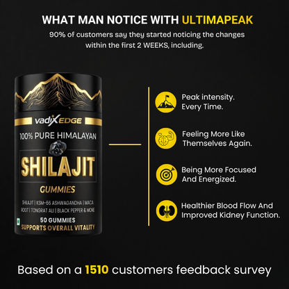 Maximum Strength Shilajit Gummies